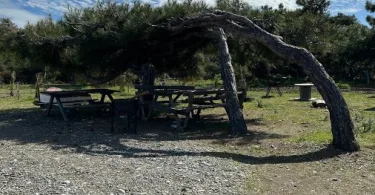 datça alavara ücretsi kamp alanı